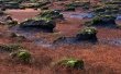 Wind Rocks Wallpaer