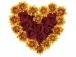 Goldsmith Heart Wallpaer