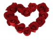 Heart Roses Ground Wallpaer