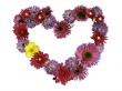 Flowers Heart Wallpaer