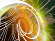 Vortex Wallpaer