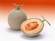 Yellow Melon Wallpaer