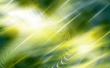 Flash Yellow Green Wallpaer