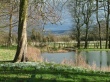 Snowdrops near lake Wallpaer