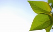 Spring Signs Wallpaer