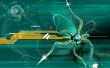 Web Spider 3D Wallpaer