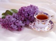 Lilac and Tea Wallpaer