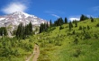Van Trump Park Wallpaer