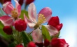 Unfolding Wallpaer