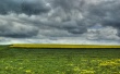Landschaft Wallpaer