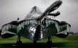 Frozen Blackbird Wallpaer
