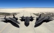 Three Blackbirds Wallpaer
