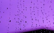 Drops on Purple Wallpaer