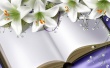 Easter 2008 Wallpaer