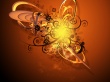 Vector Wallpaer
