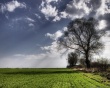 Intermezzo Wallpaer
