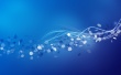 Light Bird Wallpaer