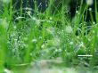 Ambiental Wallpaer