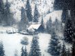 Winter Wallpaer