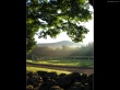 Morning rays Wallpaer