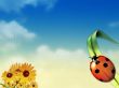 Bugs in summertime Wallpaer