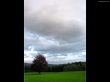 Perfect field Wallpaer