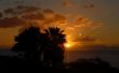 Sunset behind palms Wallpaer