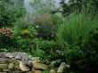 Green scenery Wallpaer