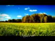 Autumn is here Wallpaer
