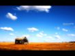 Isolated shack Wallpaer