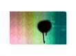 Brilliance in colour Wallpaer