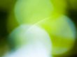 Green halo Wallpaer