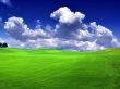 Green field Wallpaer