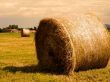 Golden haystack Wallpaer