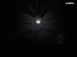 bulb spider Wallpaer