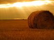 Rolling haystack Wallpaer