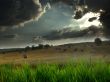 Clouds over hayfield Wallpaer