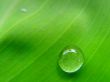Drop of water Wallpaer