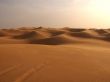 Stretching desert Wallpaer