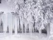 Frozen scenery Wallpaer
