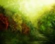 Painted forest Wallpaer