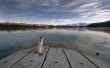 Dog staring at a lake Wallpaer