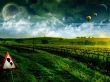 Balloons over fields Wallpaer