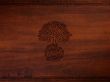 Tree sign Wallpaer