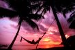 Palm lounge Wallpaer