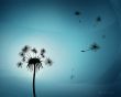 Dandelion bits Wallpaer