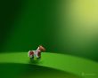 Micro horse Wallpaer