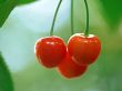 Three cherries Wallpaer