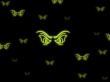 Green eyes Wallpaer