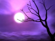 Purple sky Wallpaer